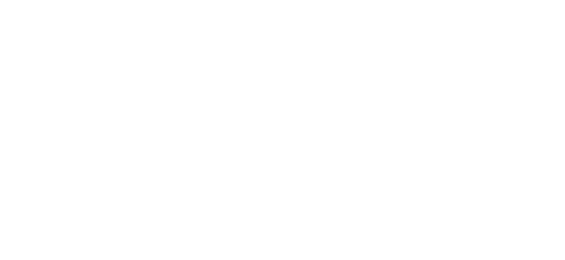 TecDealer Logo